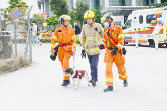 消防使用生命探测器及消防搜索犬协助搜救。
