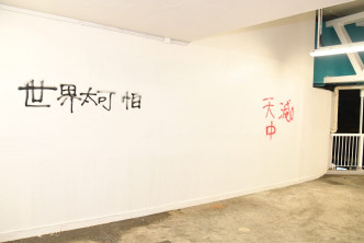 现场墙壁留下「世界太可怕」及「FREE HK」等字句。