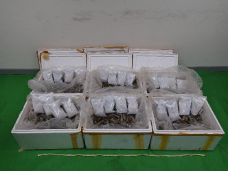 海关在一批从泰国抵港，报称载有急冻虾的空运货物中检获约怀疑液态冰毒。政府新闻处图片
