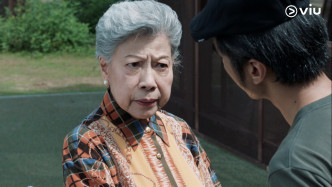 罗兰饰演彭皓峰妈妈。