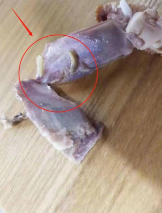 学生公开一张骨头现蛆虫的相片。网图