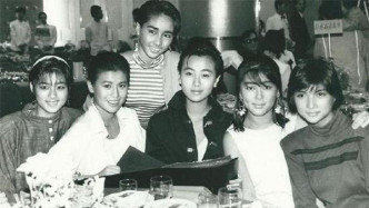 袁洁莹15岁时被黄百鸣发掘入行，之后与罗美薇及陈加玲等人组成「开心少女组」，凭主演《开心鬼》系列成功弹起，星途一片光明。