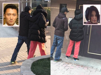 去年底有网民影到王菲谢霆锋手拖手散步。