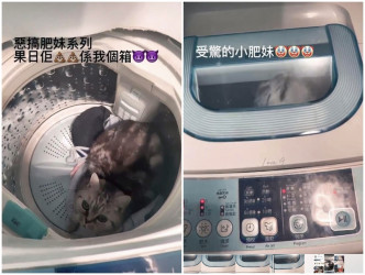 一名女子将一只猫放进洗衣机，并曾开机至少14秒，期间猫猫表现惊慌。影片截图