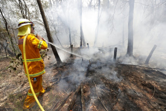 澳洲山火仍然持續。AP圖片