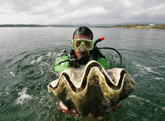 這種蚌類瀕臨絕種，若違反捕食，最高可判4年監禁。 AP