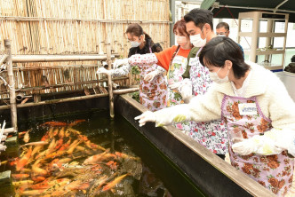 眾人對體驗農夫生活具興致。