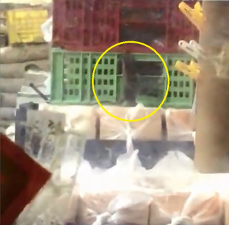 网民拍到老鼠出没面包店。网上图片