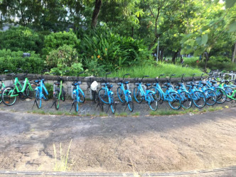 大埔出现新一批蓝色共享单车。网上图片