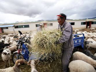 中共十八大以来，加大对西藏的教育投资，对农牧民实行「三包政策」。新华社图片
