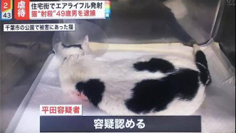 平田雄一表示，在2003年获得狩猎用气枪的持有资格，除了用气枪射击，他还会对小猫浇热水。网上图片