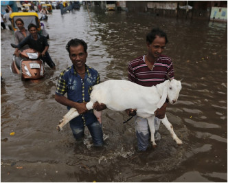 水災導致31萬人無家可歸。AP