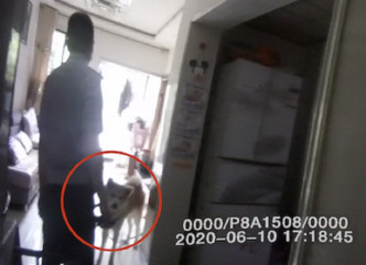男子報警發現打開門是自己養的狗。網上圖片