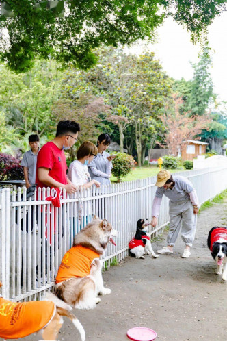 狗狗们有专人陪伴。网图