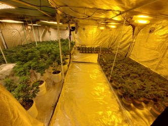 内里分割成6个大麻种植场。