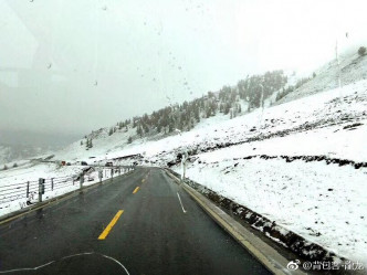 新疆大雪纷飞。网上图片