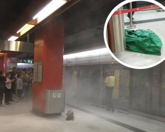 港鐵荔枝角站月台冒煙，乘客走出車廂。（大圖）網民Edward Yu/ 香港突發事故報料區fb群組