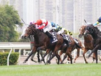 「野田重击」赢得今届香港短途锦标。 Curry摄