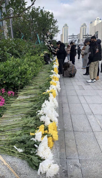 高以翔經紀公司送上1,000株菊花悼念。（微博圖片）