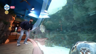 《我独自生活》中，南宫珉亦会去水族馆睇海洋生物。
