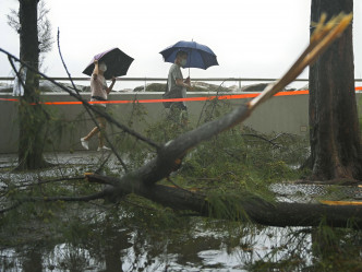 颱風海高斯襲港。 資料圖片