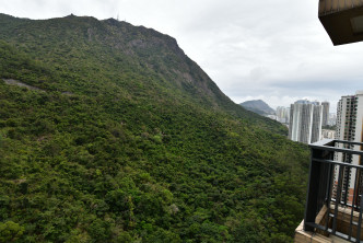 單位可享翠綠山景。