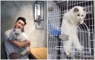 馬貫東愛貓病逝兩日，他分享MOOMOO小時候短片悼念。