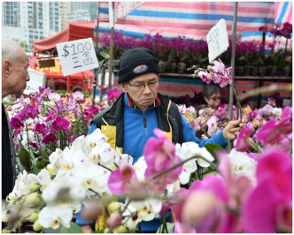 花档开始减价促销。