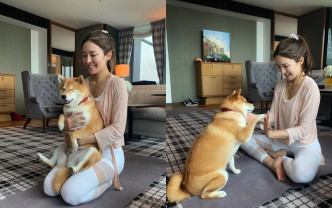 Kelly住酒店跟狗狗齊做瑜伽。