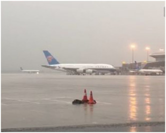 廣州白雲機場今早共有134航班要取消。網圖