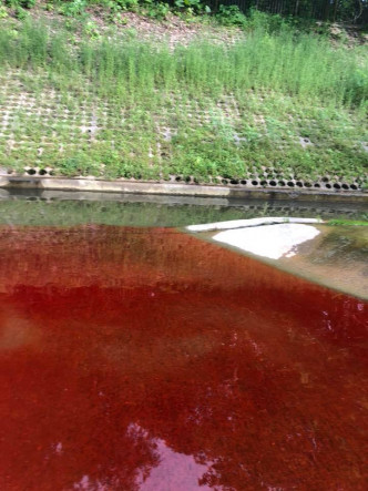 河流呈血红色。方国珊图片