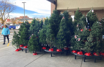 今年人造圣诞树的价格恐上涨10%至30%。美联社图片