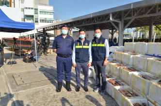行动中，海关检获活龙虾及海参，约值1000万元。