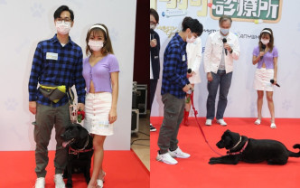 郑俊弘与何雁诗带爱犬宣传节目。