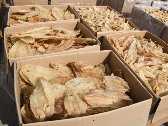 检获货品包括濒危物种的花胶鱼翅。
