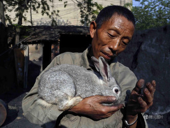 老田养了6只兔子将小兔抱在怀里脸上布满慈祥。