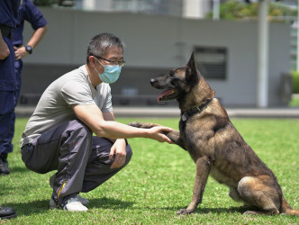 蕭澤頤日前與警犬隊成員一同拍攝挑戰賽的示範短片。