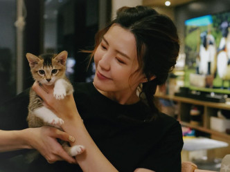 之前Jinny公布新家庭成员，系一只雄性小猫。