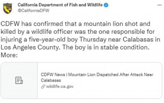 当局发布美洲狮袭击男童的消息。Twitter截图