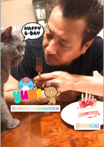 石修生日除了跟家人慶祝，怎可少得愛貓。