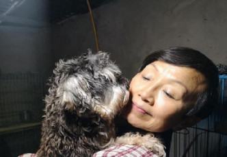 重庆六旬老妇收养1300多只动物。网上图片