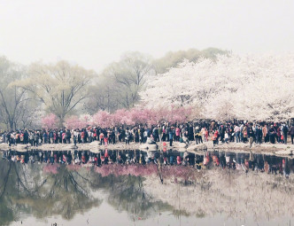 雾霾无阻北京市民到公园赏花。网上图片