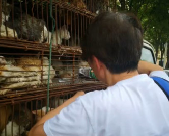 爱猫人士赶到场给猫只泼水降温，及给予食水。