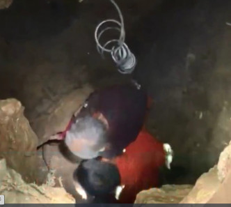 救援人員派出一名瘦小的人員進入岩洞。網圖