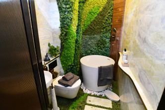 浴室亦贯彻大自然为主调，用上以不同植物墙身及綫条云石作点缀。（2座18楼C8室经改动连装修示范单位）