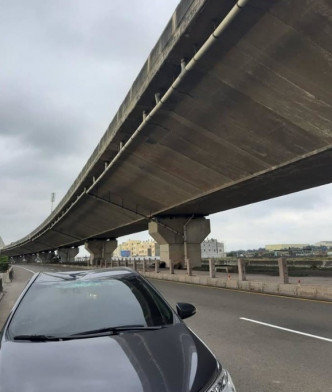 唐狗從高架橋上跌下砸爛車頭玻璃再跌落路邊慘死。網圖