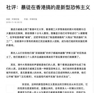 《环球时报》网页截图