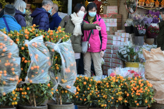 各区年宵花市取消，市民或转往旺角花墟行花市、买年花过年。
