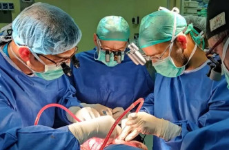 上周的分离手术有数十位国内外专家学者参与。互联网图片
