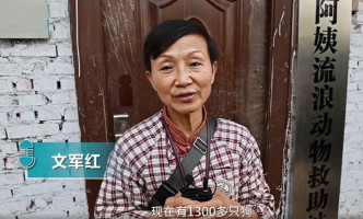 重庆68岁老人救助上千只流浪动物。网上图片